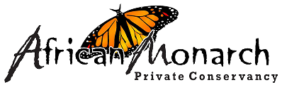 African Monarch